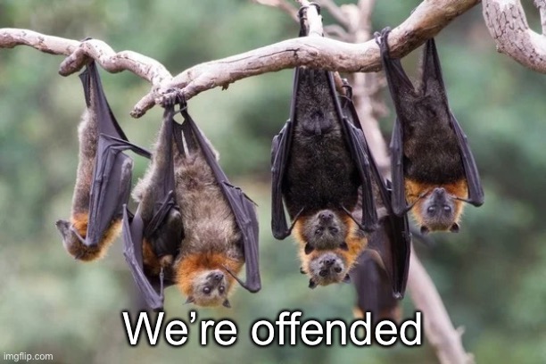 Bats Shrugging Upside Down | We’re offended | image tagged in bats shrugging upside down | made w/ Imgflip meme maker