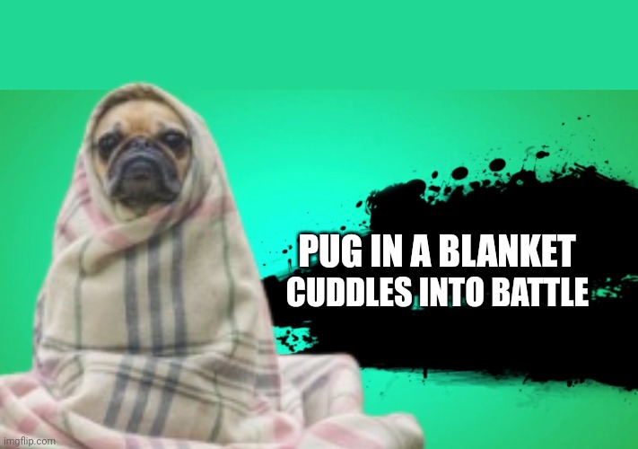 Pug in a blanket | PUG IN A BLANKET; CUDDLES INTO BATTLE | image tagged in everyone joins the battle | made w/ Imgflip meme maker