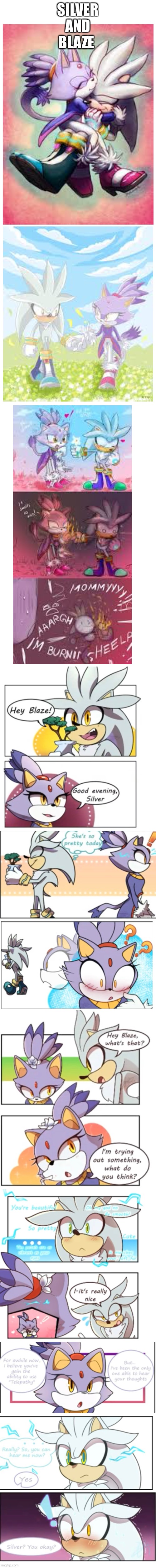 SILVER AND BLAZE | image tagged in blank white template | made w/ Imgflip meme maker