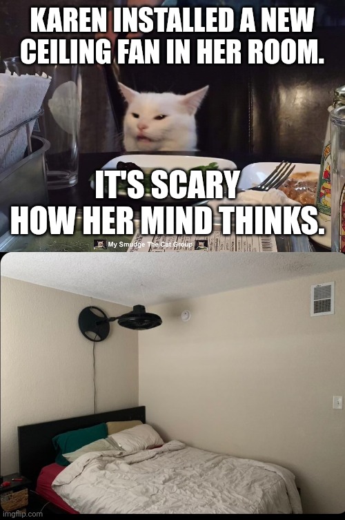 KAREN INSTALLED A NEW CEILING FAN IN HER ROOM. IT'S SCARY HOW HER MIND THINKS. | image tagged in smudge the cat,smudge | made w/ Imgflip meme maker