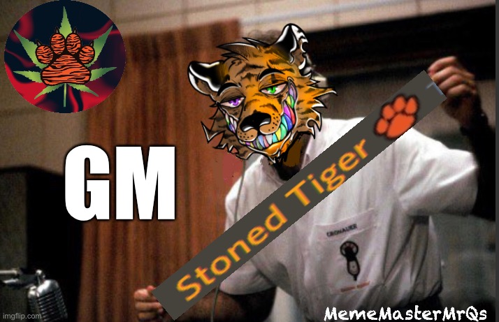 Tiger Gm | GM; MemeMasterMrQs | image tagged in good morning,funny meme | made w/ Imgflip meme maker