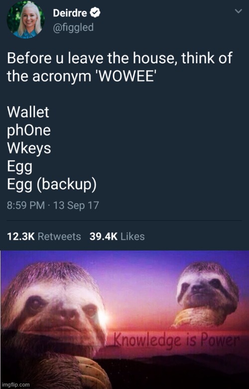 Ahhhh, yes backup egg. | image tagged in sloth knowledge is power,memes,luna_the_dragon,meme,sloth,knowledge | made w/ Imgflip meme maker