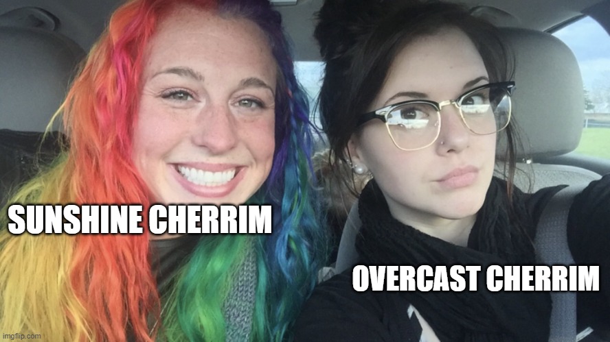 Cherrim is a forgotten Pokemon | SUNSHINE CHERRIM; OVERCAST CHERRIM | image tagged in rainbow hair and goth,cherrim,pokemon,memes,funny,why are you reading this | made w/ Imgflip meme maker
