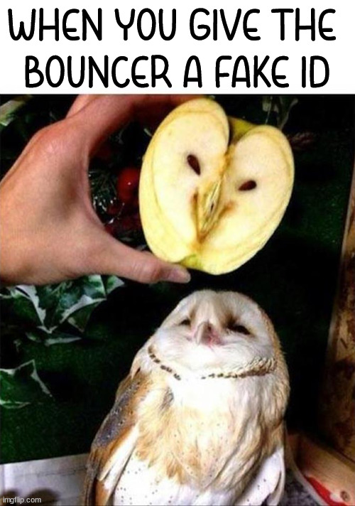 WHEN YOU GIVE THE 
BOUNCER A FAKE ID | image tagged in fake | made w/ Imgflip meme maker