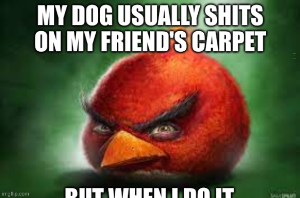 MY DOG USUALLY SHITS ON MY FRIEND'S CARPET | made w/ Imgflip meme maker