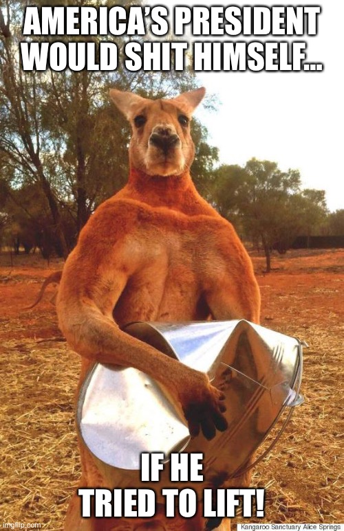 buff kangaroo | AMERICA’S PRESIDENT WOULD SHIT HIMSELF…; IF HE TRIED TO LIFT! | image tagged in buff kangaroo | made w/ Imgflip meme maker