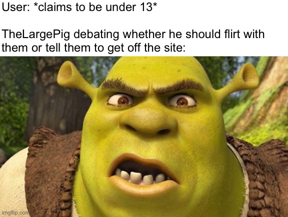 I hate titles | User: *claims to be under 13*
 
TheLargePig debating whether he should flirt with
them or tell them to get off the site: | image tagged in i,hate,tags | made w/ Imgflip meme maker