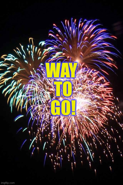 fireworks | WAY 


TO


GO! | image tagged in fireworks | made w/ Imgflip meme maker