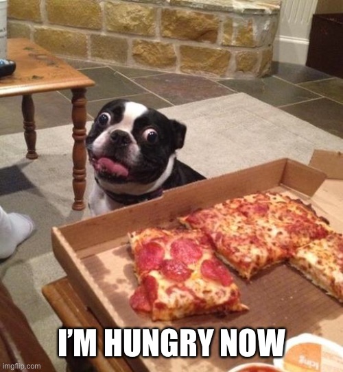 Hungry Pizza Dog | I’M HUNGRY NOW | image tagged in hungry pizza dog | made w/ Imgflip meme maker