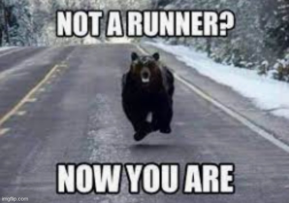 Run | image tagged in run,bear | made w/ Imgflip meme maker