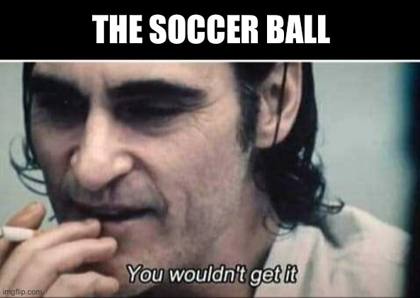 You wouldn't get it | THE SOCCER BALL | image tagged in you wouldn't get it | made w/ Imgflip meme maker