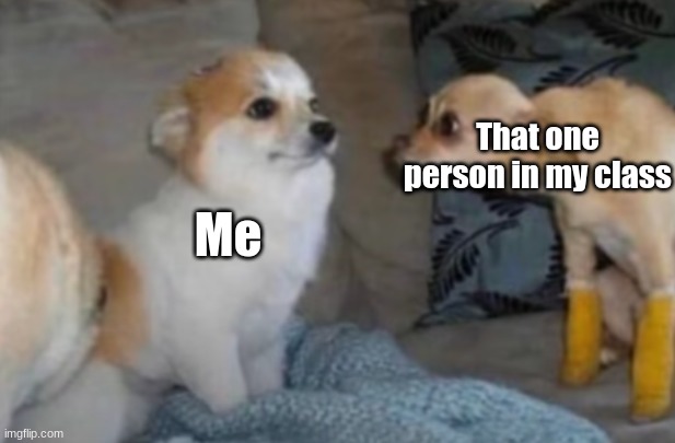 If there's a girl staring at you, stare back to make them stop if it's bothering you | That one person in my class; Me | image tagged in creepy dog stare | made w/ Imgflip meme maker