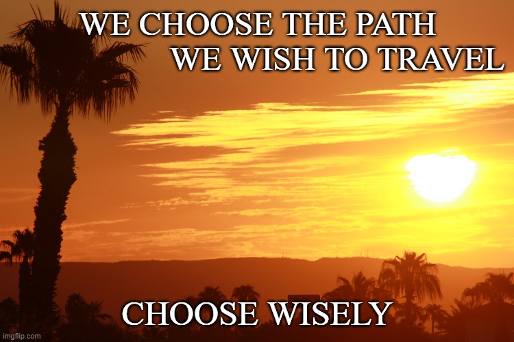 Path | WE CHOOSE THE PATH
                   WE WISH TO TRAVEL; CHOOSE WISELY | image tagged in life lessons | made w/ Imgflip meme maker