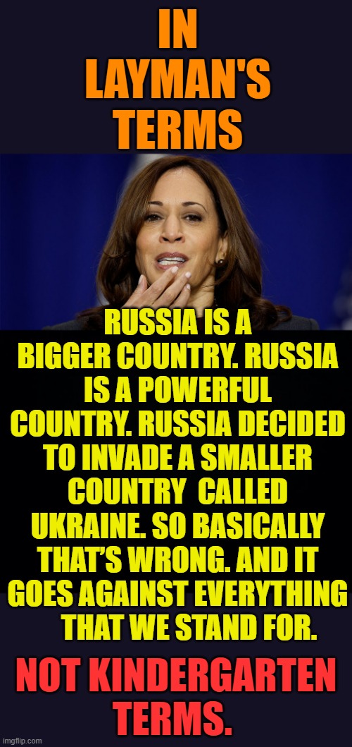 Could you explain the ongoing Russia-Ukraine conflict... | IN LAYMAN'S TERMS; RUSSIA IS A BIGGER COUNTRY. RUSSIA IS A POWERFUL COUNTRY. RUSSIA DECIDED TO INVADE A SMALLER COUNTRY  CALLED UKRAINE. SO BASICALLY THAT’S WRONG. AND IT GOES AGAINST EVERYTHING     THAT WE STAND FOR. NOT KINDERGARTEN TERMS. | image tagged in memes,politics,kamala harris,trying to explain,childish,insult | made w/ Imgflip meme maker