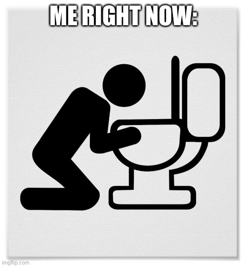 Barfing into the Toilet | ME RIGHT NOW: | image tagged in barfing into the toilet | made w/ Imgflip meme maker