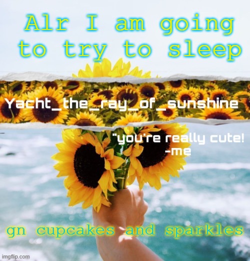yacht's sunflower temp (THANK YOU SUGA) | Alr I am going to try to sleep; gn cupcakes and sparkles | image tagged in yacht's sunflower temp thank you suga | made w/ Imgflip meme maker