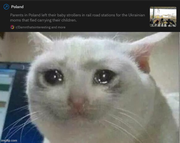 thats sweet af tho | image tagged in crying cat | made w/ Imgflip meme maker