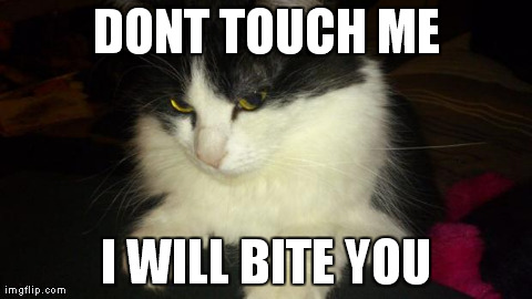 DONT TOUCH ME I WILL BITE YOU | made w/ Imgflip meme maker