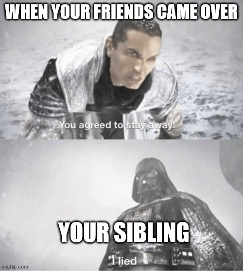 You agreed to stay away I lied | WHEN YOUR FRIENDS CAME OVER; YOUR SIBLING | image tagged in you agreed to stay away i lied | made w/ Imgflip meme maker
