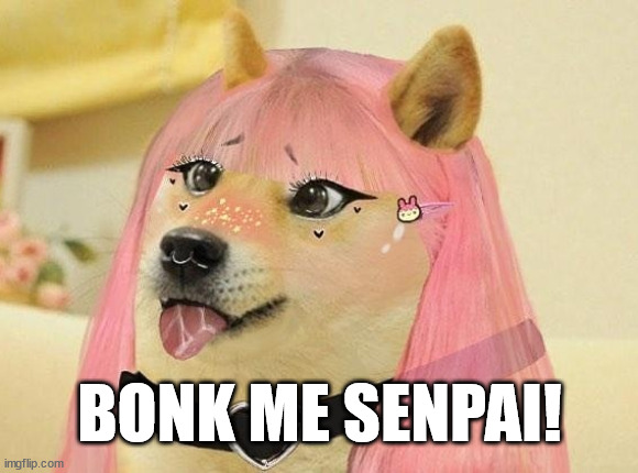  BONK ME SENPAI! | image tagged in doge,kawaii,egirl,cheems,bonk,doge bonk | made w/ Imgflip meme maker