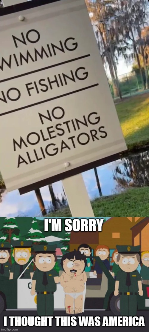 Mistake to Be Made Twice | I'M SORRY; I THOUGHT THIS WAS AMERICA | image tagged in i thought this was america south park,meme,memes,signs,humor | made w/ Imgflip meme maker