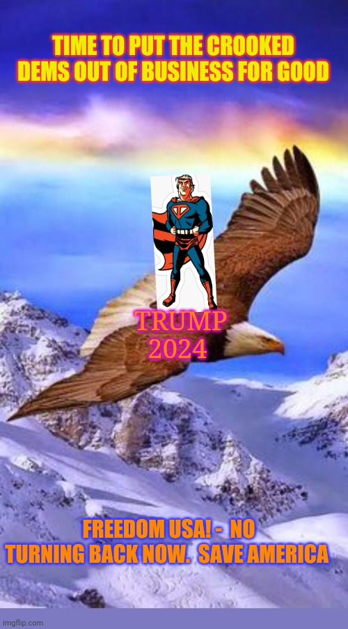 TIME TO PUT THE CROOKED DEMS OUT OF BUSINESS FOR GOOD; TRUMP 2024; FREEDOM USA! -  NO TURNING BACK NOW.  SAVE AMERICA | image tagged in save,america,democrats,suck,vote trump | made w/ Imgflip meme maker