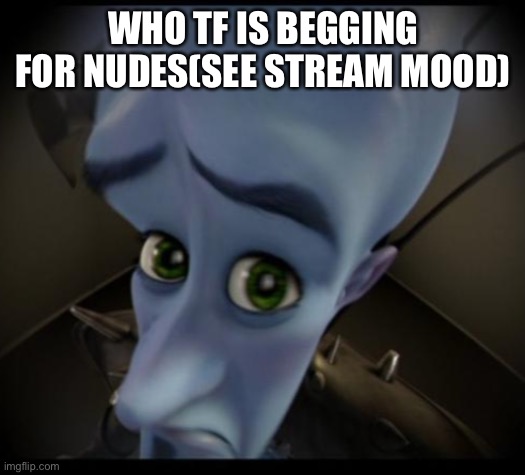 Megamind peeking | WHO TF IS BEGGING FOR NUDES(SEE STREAM MOOD) | image tagged in no bitches | made w/ Imgflip meme maker