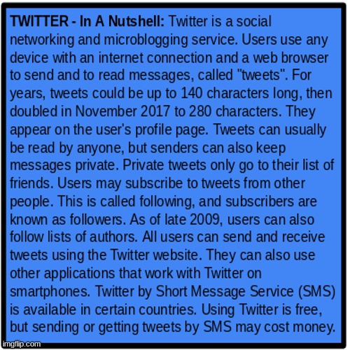 TWITTER - In A Nutshell | image tagged in simothefinlandized,in a nutshell,twitter | made w/ Imgflip meme maker