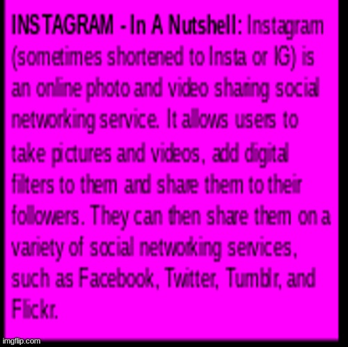 INSTAGRAM - In A Nutshell | image tagged in simothefinlandized,instagram,in a nutshell | made w/ Imgflip meme maker