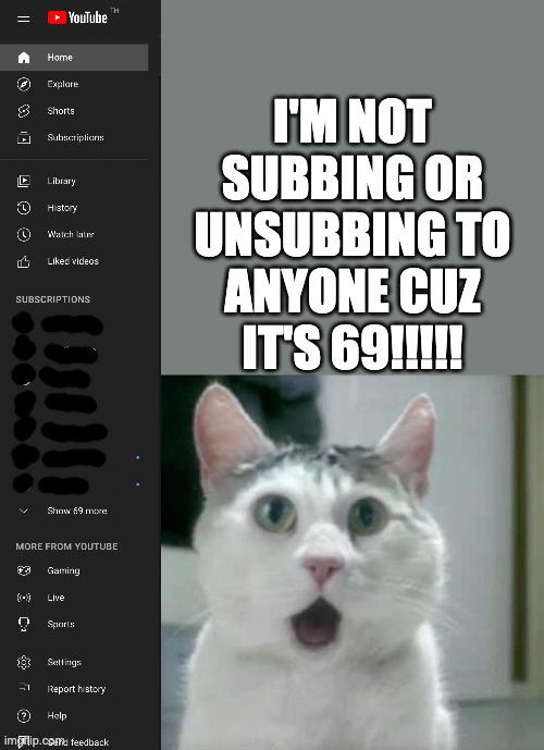 it's 69!!!!!!!! | I'M NOT SUBBING OR UNSUBBING TO ANYONE CUZ IT'S 69!!!!! | image tagged in memes,omg cat,69,lucky,subscribe,unsubscribe | made w/ Imgflip meme maker
