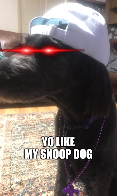 Lit snoop dog | YO LIKE MY SNOOP DOG | image tagged in snoop dogg | made w/ Imgflip meme maker