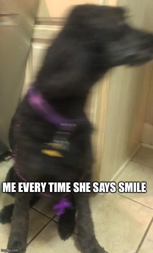 POV every kid | ME EVERY TIME SHE SAYS SMILE | image tagged in family photo | made w/ Imgflip meme maker