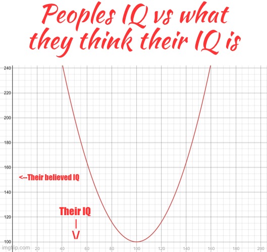 Very accurate | Peoples IQ vs what they think their IQ is; <--Their believed IQ; Their IQ
 |
 \/ | image tagged in memes,funny,gifs,cats,iq,graphs | made w/ Imgflip meme maker