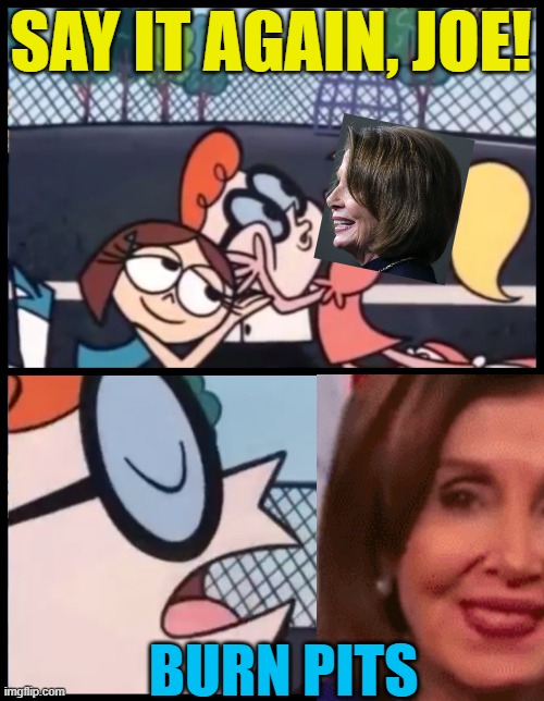 Was she trying to do the Macarena? | SAY IT AGAIN, JOE! BURN PITS | image tagged in memes,say it again dexter,nancy pelosi,state of the union | made w/ Imgflip meme maker