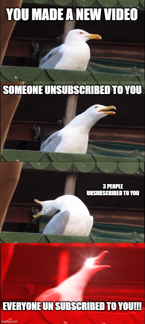 when you made a bad video | YOU MADE A NEW VIDEO; SOMEONE UNSUBSCRIBED TO YOU; 3 PEOPLE UNSUBSCRIBED TO YOU; EVERYONE UN SUBSCRIBED TO YOU!!! | image tagged in memes,inhaling seagull | made w/ Imgflip meme maker