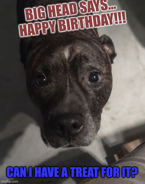 Big Head | BIG HEAD SAYS... HAPPY BIRTHDAY!!! CAN I HAVE A TREAT FOR IT? | image tagged in big head | made w/ Imgflip meme maker