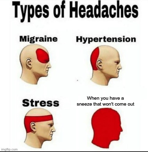 Generic title name | When you have a sneeze that won't come out | image tagged in types of headaches meme,memes,gifs,funny,cats,amongus | made w/ Imgflip meme maker