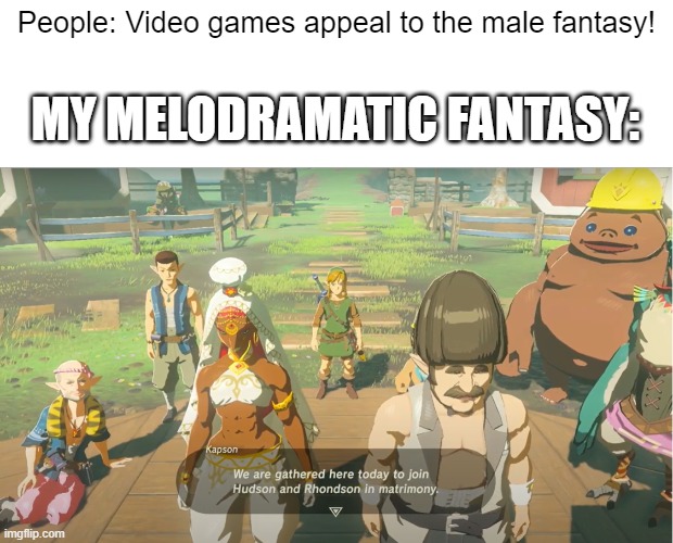 Fantasy | People: Video games appeal to the male fantasy! MY MELODRAMATIC FANTASY: | image tagged in botw | made w/ Imgflip meme maker