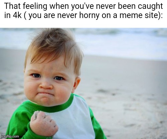 Success Kid Original Meme | That feeling when you've never been caught in 4k ( you are never horny on a meme site): | image tagged in memes,success kid original | made w/ Imgflip meme maker