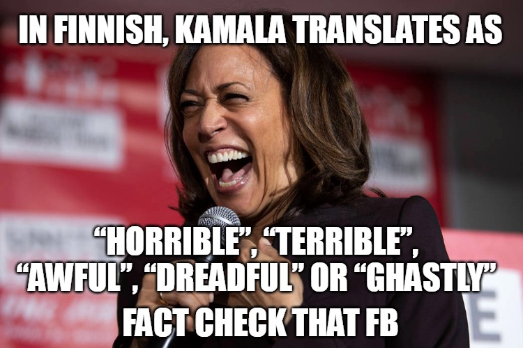 ghastly kamala | IN FINNISH, KAMALA TRANSLATES AS; “HORRIBLE”, “TERRIBLE”, “AWFUL”, “DREADFUL” OR “GHASTLY”; FACT CHECK THAT FB | image tagged in kamala harris | made w/ Imgflip meme maker