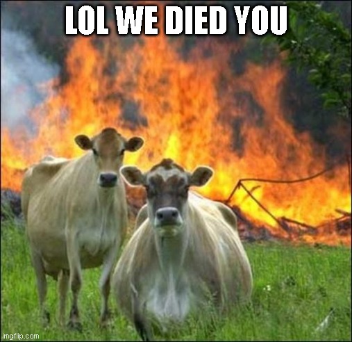 Evil Cows Meme | LOL WE DIED YOU | image tagged in memes,evil cows | made w/ Imgflip meme maker