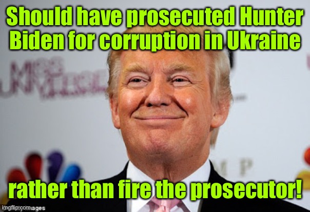 Donald trump approves | Should have prosecuted Hunter Biden for corruption in Ukraine rather than fire the prosecutor! | image tagged in donald trump approves | made w/ Imgflip meme maker