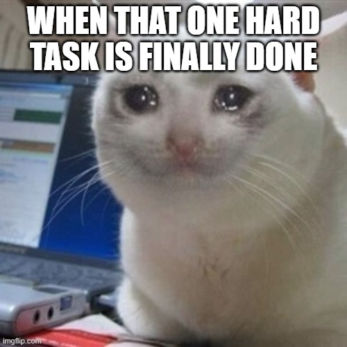 happily cries |  WHEN THAT ONE HARD TASK IS FINALLY DONE | image tagged in crying cat | made w/ Imgflip meme maker