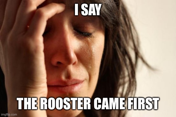 First World Problems Meme | I SAY THE ROOSTER CAME FIRST | image tagged in memes,first world problems | made w/ Imgflip meme maker