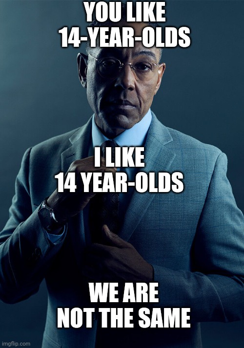 Gus Fring we are not the same | YOU LIKE 14-YEAR-OLDS; I LIKE 14 YEAR-OLDS; WE ARE NOT THE SAME | image tagged in gus fring we are not the same | made w/ Imgflip meme maker