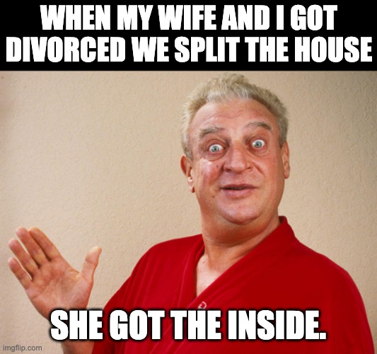 Rodney | WHEN MY WIFE AND I GOT DIVORCED WE SPLIT THE HOUSE; SHE GOT THE INSIDE. | image tagged in rodney dangerfield for pres | made w/ Imgflip meme maker