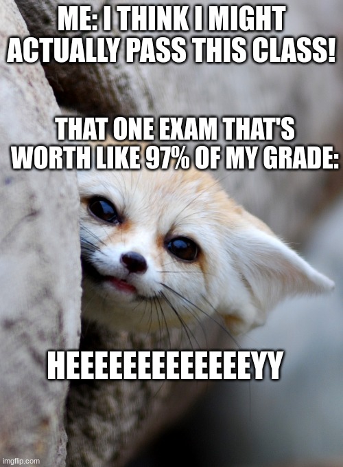 heeeeeeeeeeeeyy | ME: I THINK I MIGHT ACTUALLY PASS THIS CLASS! THAT ONE EXAM THAT'S WORTH LIKE 97% OF MY GRADE:; HEEEEEEEEEEEEEYY | image tagged in hey there,bad grades,exams,school | made w/ Imgflip meme maker