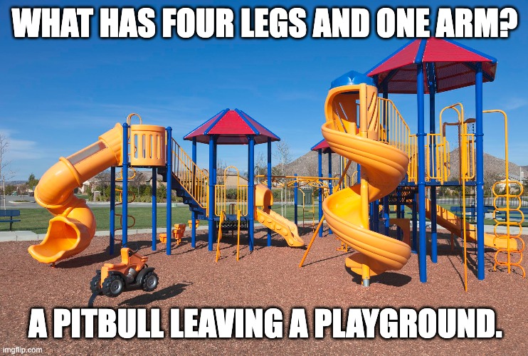 Playground | WHAT HAS FOUR LEGS AND ONE ARM? A PITBULL LEAVING A PLAYGROUND. | made w/ Imgflip meme maker