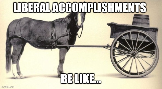 the cart before the horse | LIBERAL ACCOMPLISHMENTS BE LIKE… | image tagged in the cart before the horse | made w/ Imgflip meme maker