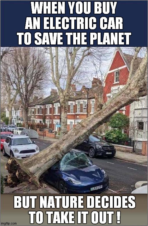 Eco Warrior Defeated ! | WHEN YOU BUY AN ELECTRIC CAR TO SAVE THE PLANET; BUT NATURE DECIDES
TO TAKE IT OUT ! | image tagged in electric car,tree,destruction,dark humour | made w/ Imgflip meme maker